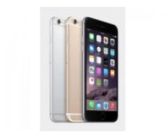 ishop nha trang