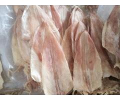 cung cấp khô mực ngon giá sỉ