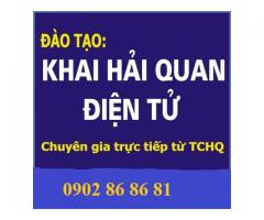 Đào tạo khai hải quan điện tử