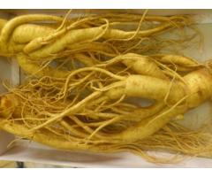 Nhân sâm tươi hàn quốc loại 3 củ/kg