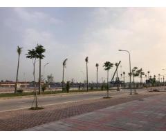 Nhà phố thương mại Florencia Uông Bí - Quảng Ninh