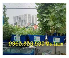 Thùng nhựa công nghiệp lớn nuôi cá Koi, thùng nhựa chữ nhật 1000L làm bể nuôi cá giá rẻ.