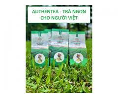 AUTHENTEA - Chuyên trà sạch, ngon, chất lượng cao