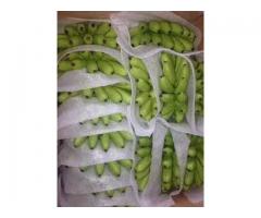 Nhà phân phối màng xốp pe gói hàng giá rẻ