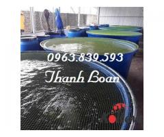 Thùng nhựa đựng nước, nuôi cá, lắp đặt hệ thống Aquaponics. 0963.839.593 Ms.Loan