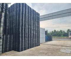 Pallet nhựa Tiền Giang mua càng nhiều giá càng rẻ