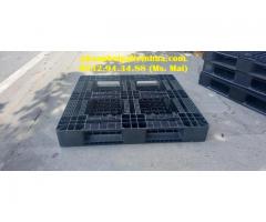 Phân phối pallet nhựa giá rẻ tại Đăk Nông, giao hàng tận nơi