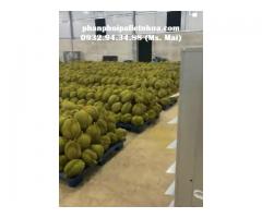 Phân phối pallet nhựa giá rẻ tại Đăk Nông, giao hàng tận nơi