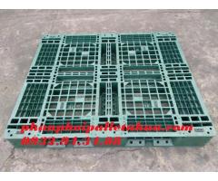 Chuyên cung cấp pallet nhựa cũ tại Bình Dương