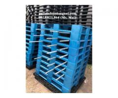 Pallet nhựa cũ giá rẻ nhất thị trường