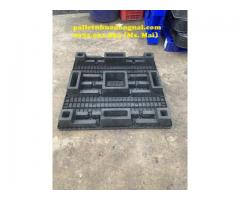 Pallet nhựa giá rẻ tại Tiền Giang