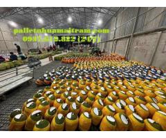 Pallet nhựa cũ Đồng Tháp bền đẹp giá thành phù hợp