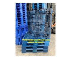 Mua pallet miền Trung nhựa uy tín giá rẻ