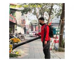 Máy thổi lá, bụi, nước, gom rác mẫu mới Kawasaki TK85 giá rẻ