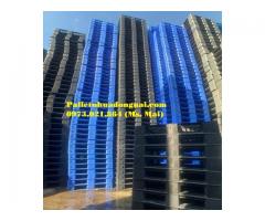 Phân phối pallet nhựa giá rẻ tại Bà Rịa Vũng Tàu
