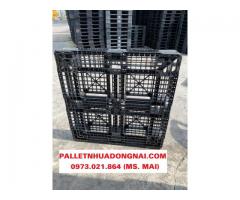 Phân phối pallet nhựa giá rẻ tại Bà Rịa Vũng Tàu