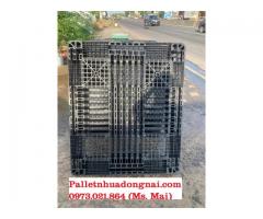 Phân phối pallet nhựa giá rẻ tại Bà Rịa Vũng Tàu
