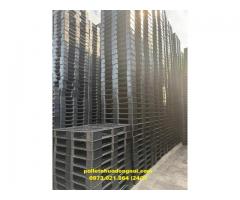 Pallet nhựa tại Đồng Nai