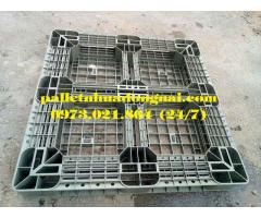 Pallet nhựa tại Trà Vinh, liên hệ 0973021864 (24/7)