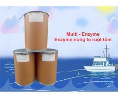 Multi Enzyme - Nong to đường ruột, xử lý nước và đáy ao nuôi toàn diện