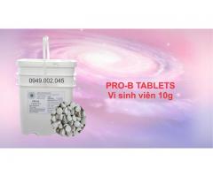 PRO - B TABLETS - Vi sinh viên xử lý nước và đáy ao nuôi