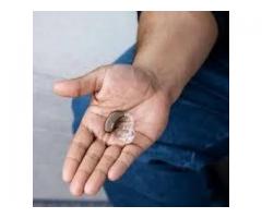 Máy trợ thính Phonak Naida L50-UP – Lựa Chọn Mạnh Mẽ Cho Hành Trình Nghe Rõ Mỗi Ngày