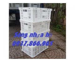 Sọt chế biến thực phẩm trong kho lạnh, sọt nhựa rỗng- sóng hở